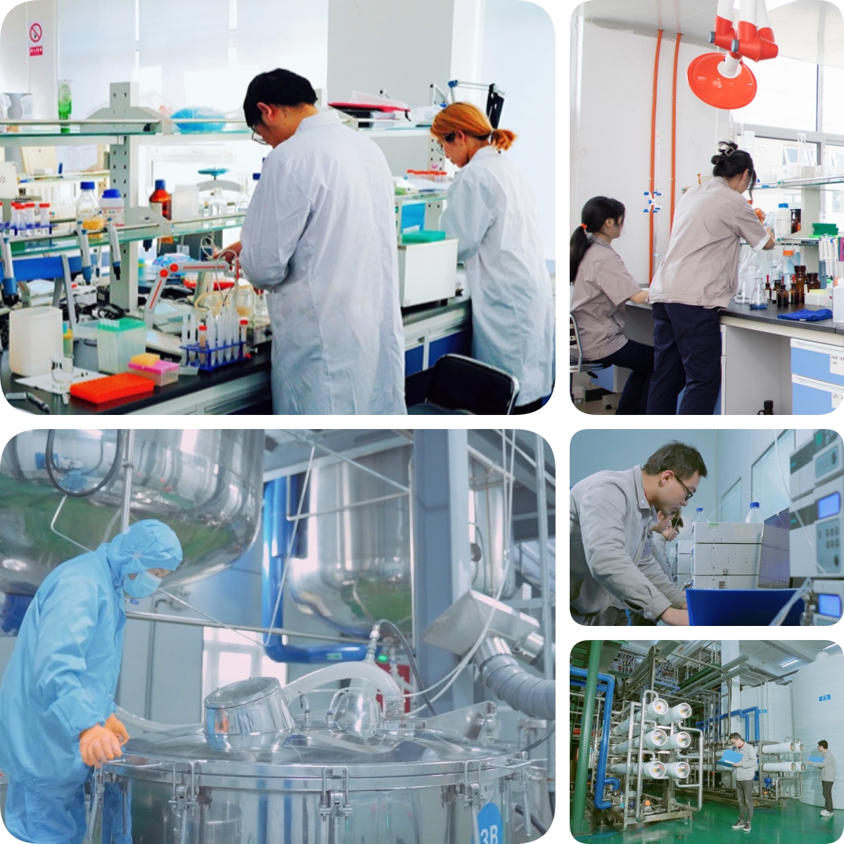 谷胱甘肽是怎么生產的？