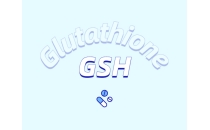 谷胱甘肽補(bǔ)充劑有什么潛在效果？