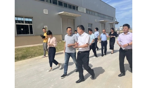 市委常委、副市長(zhǎng)呂棟來(lái)公司調(diào)研