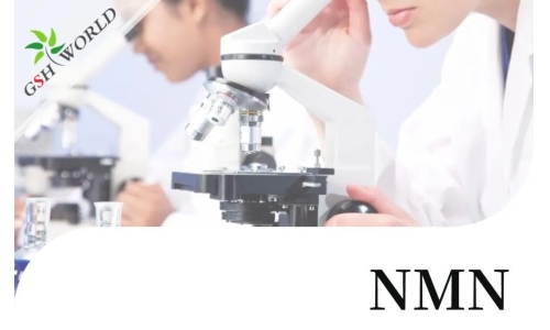 行業(yè)關(guān)注 - 最新研究長期補(bǔ)充NMN可改善血管健康