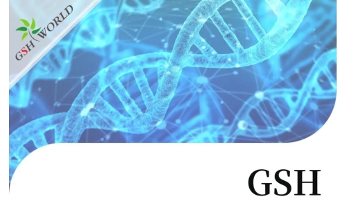 行業(yè)關(guān)注 - 谷胱甘肽結(jié)合幾種不同抗癌化療藥物的生物學(xué)作用