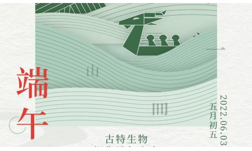 端午 - 爭(zhēng)流而上，行舟踏浪