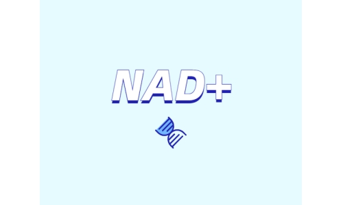 NAD+前體是如何緩解衰老的？