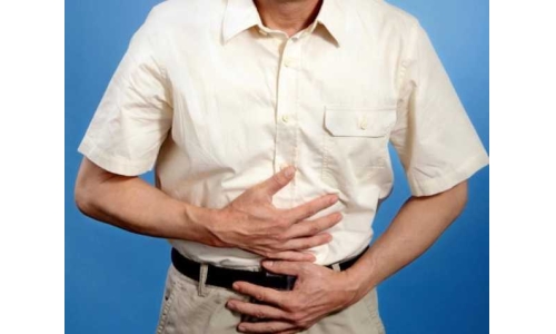 哪些成分對維護腸道健康有效？