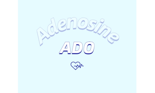 腺苷能做什么？
