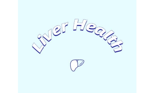 哪些原料可助力肝臟健康？